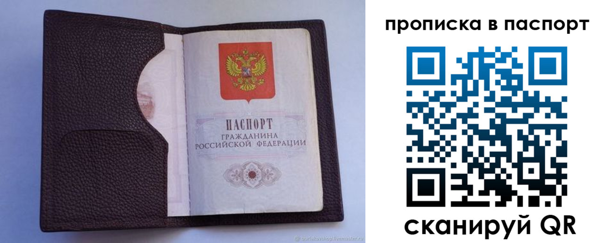 прописка законно в Реутове